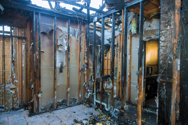 Professional Fire Damage Removal technician working in Essex, IL